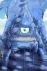 Charybdis