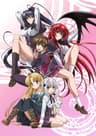 High School DxD series artwork