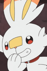 Scorbunny