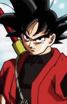 Son Goku Xeno